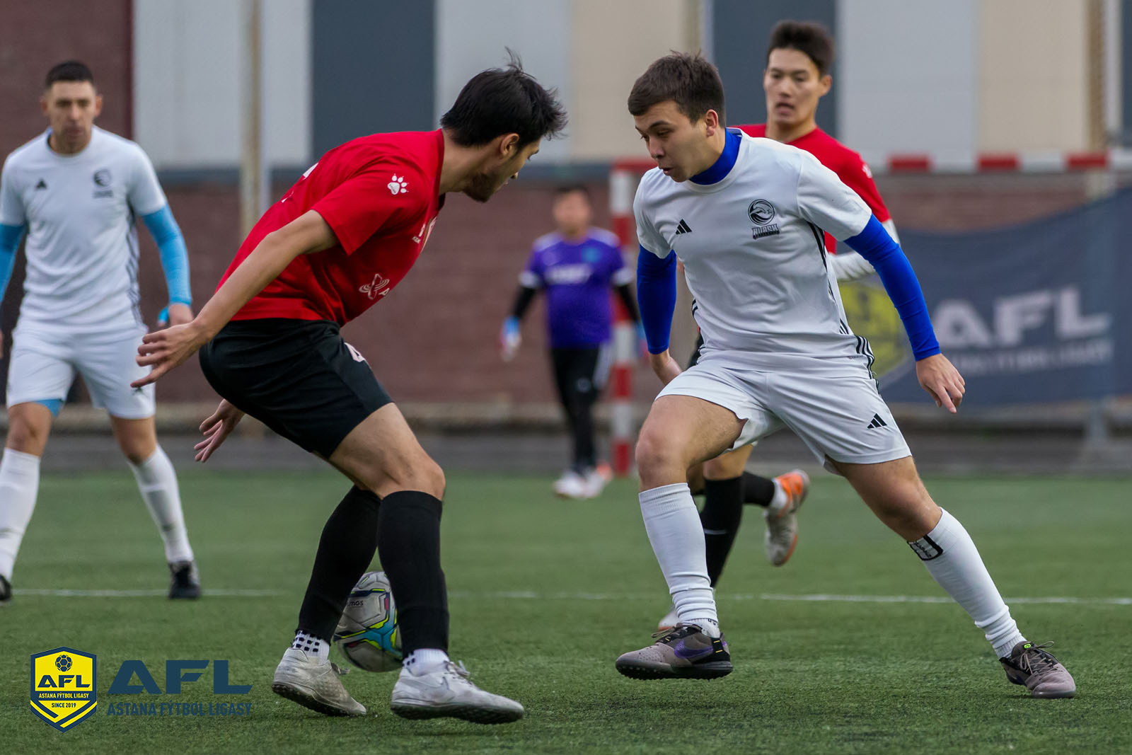 IMG 5715