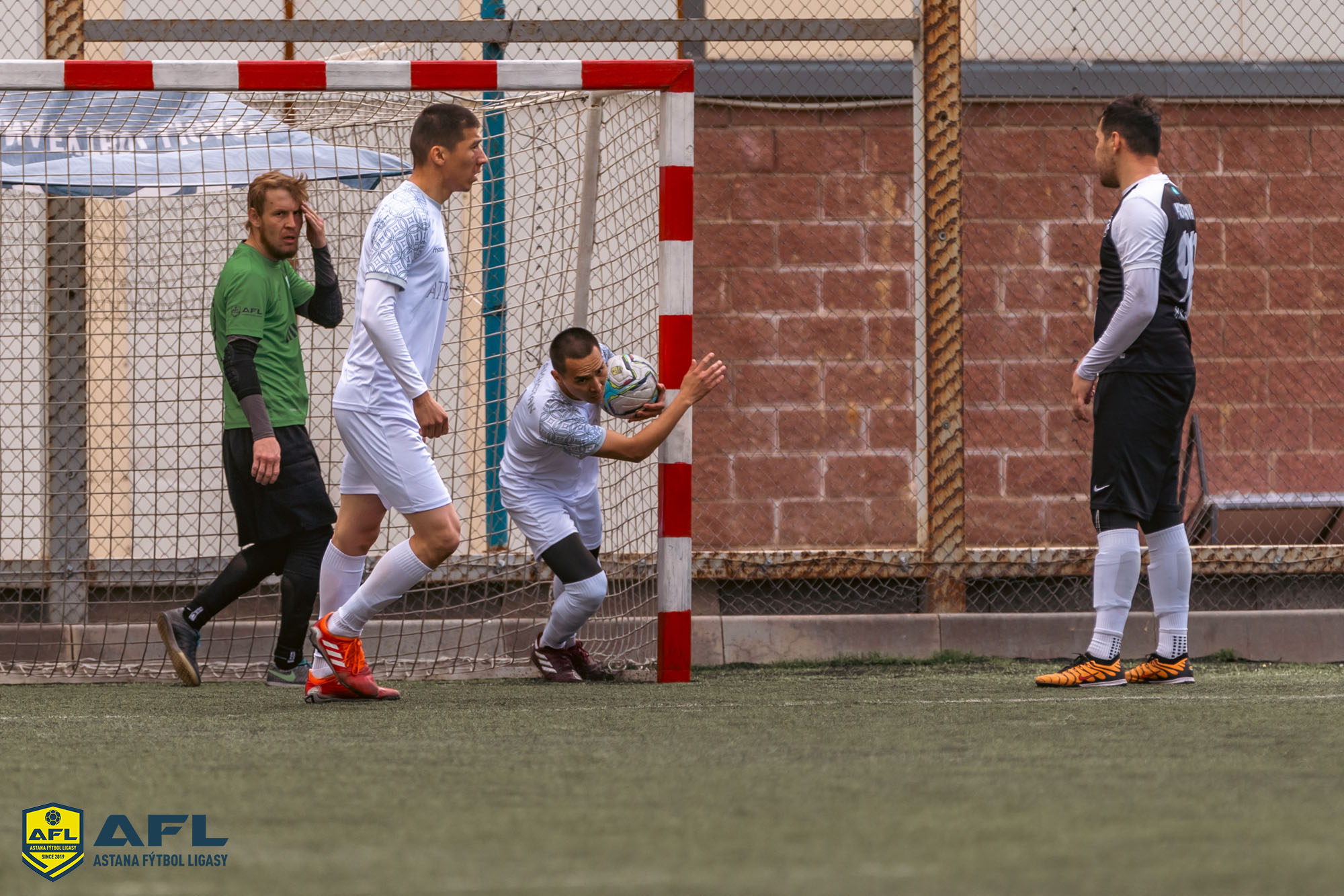 IMG 4037