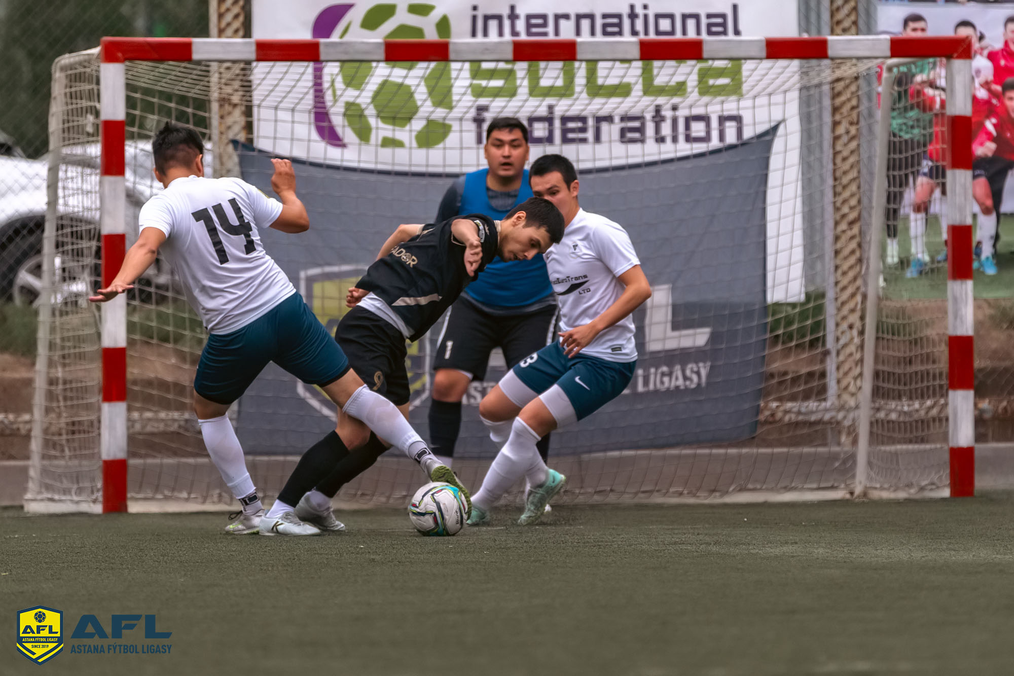 IMG 0008