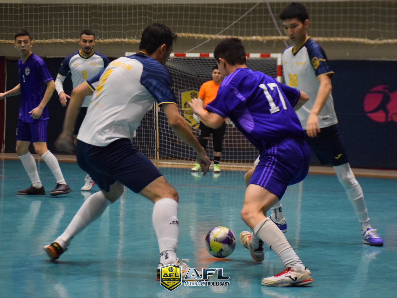 IMG 8500