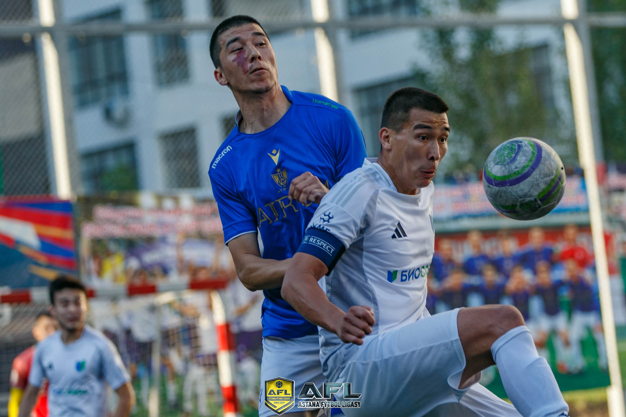 IMG 6952