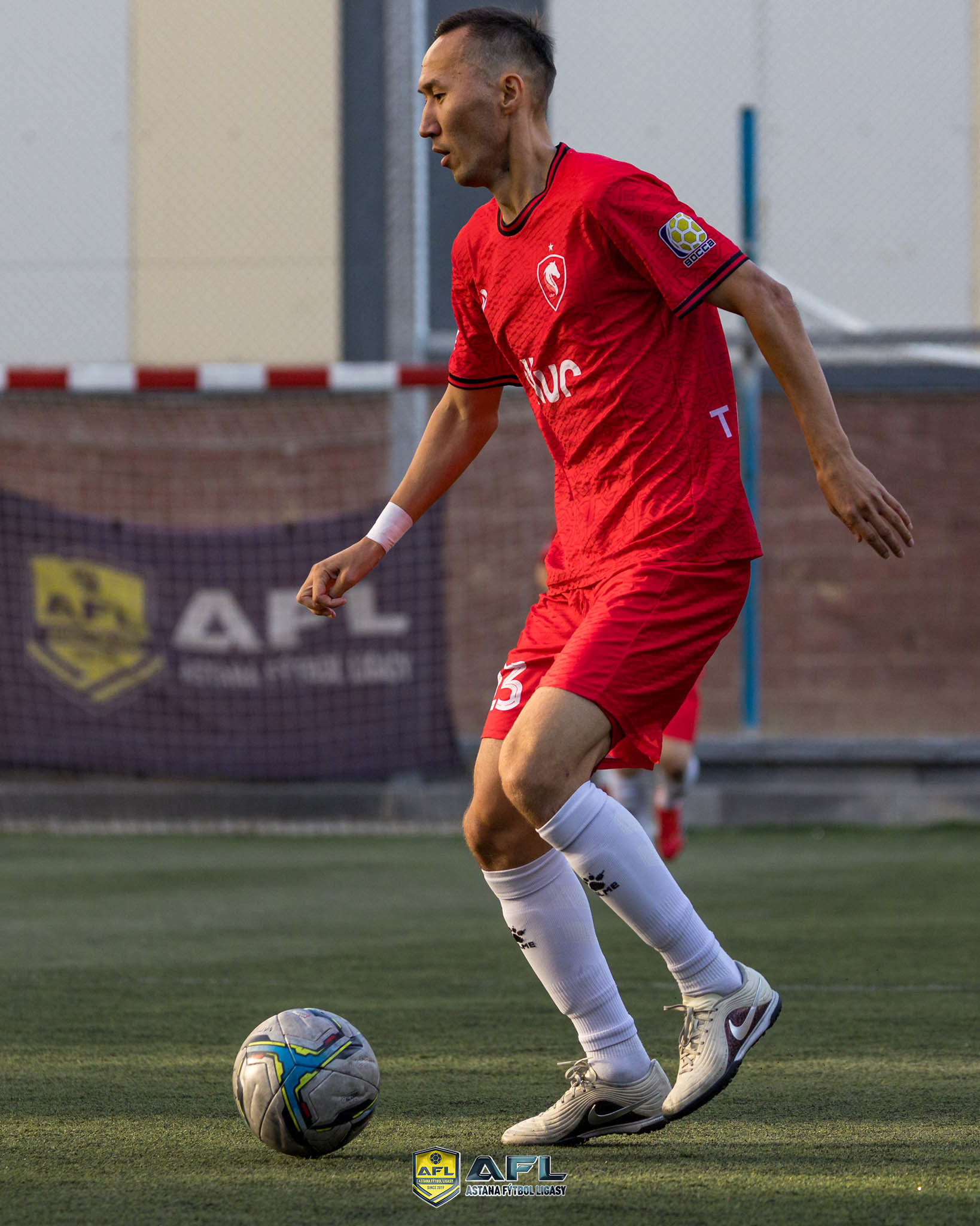 IMG 8236
