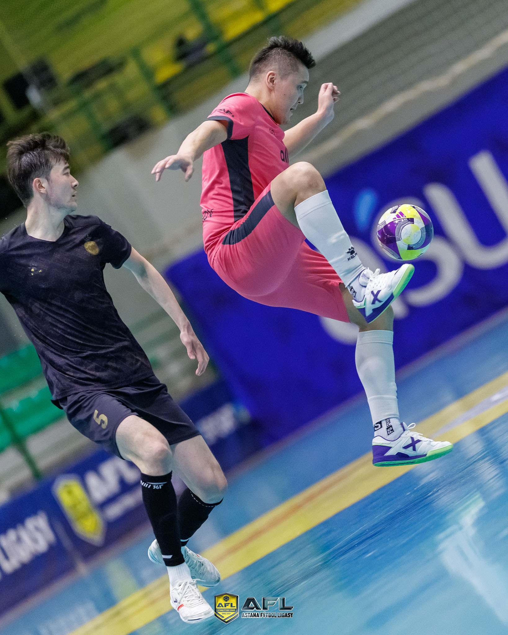 IMG 8381